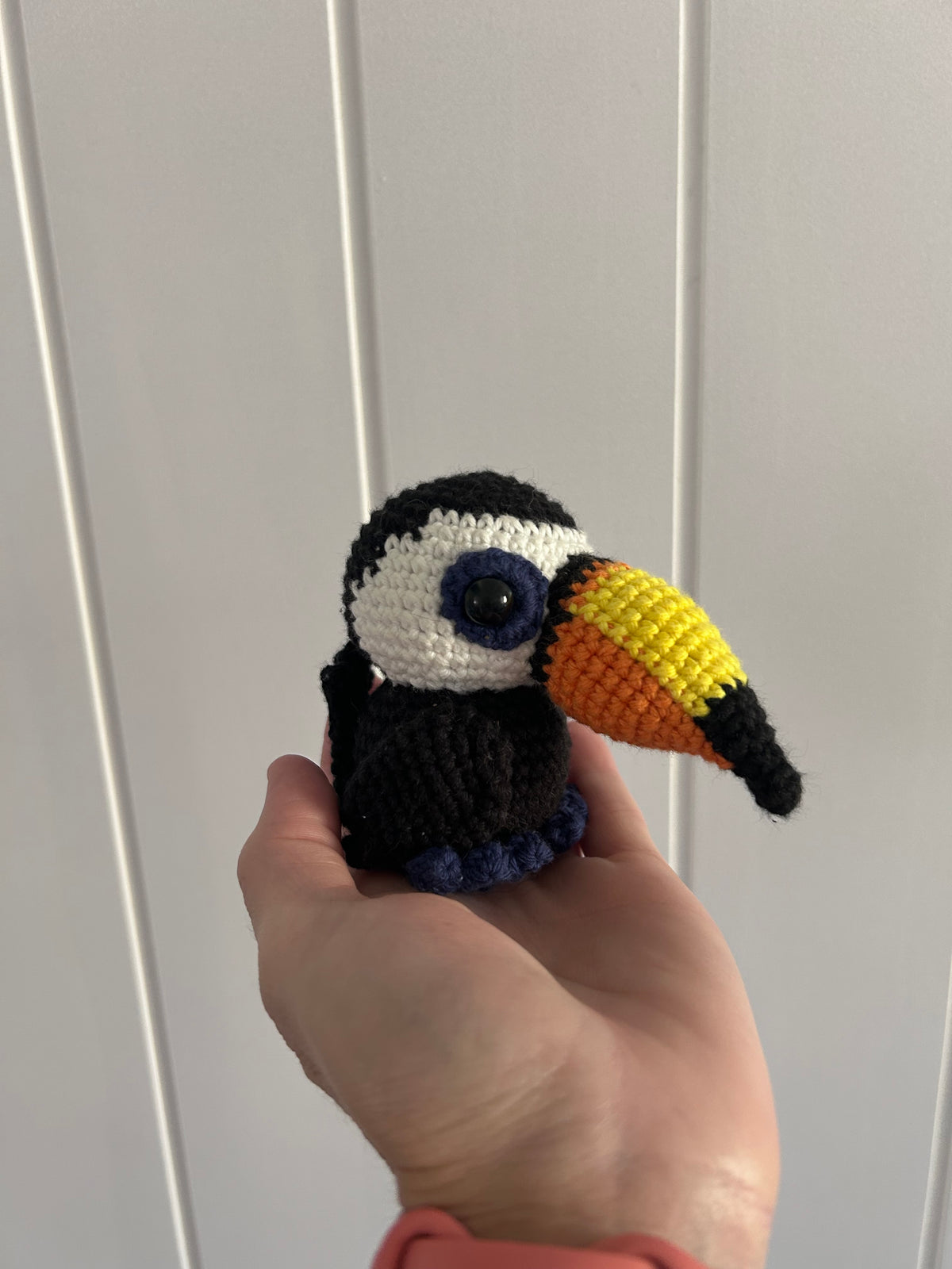 Toucan