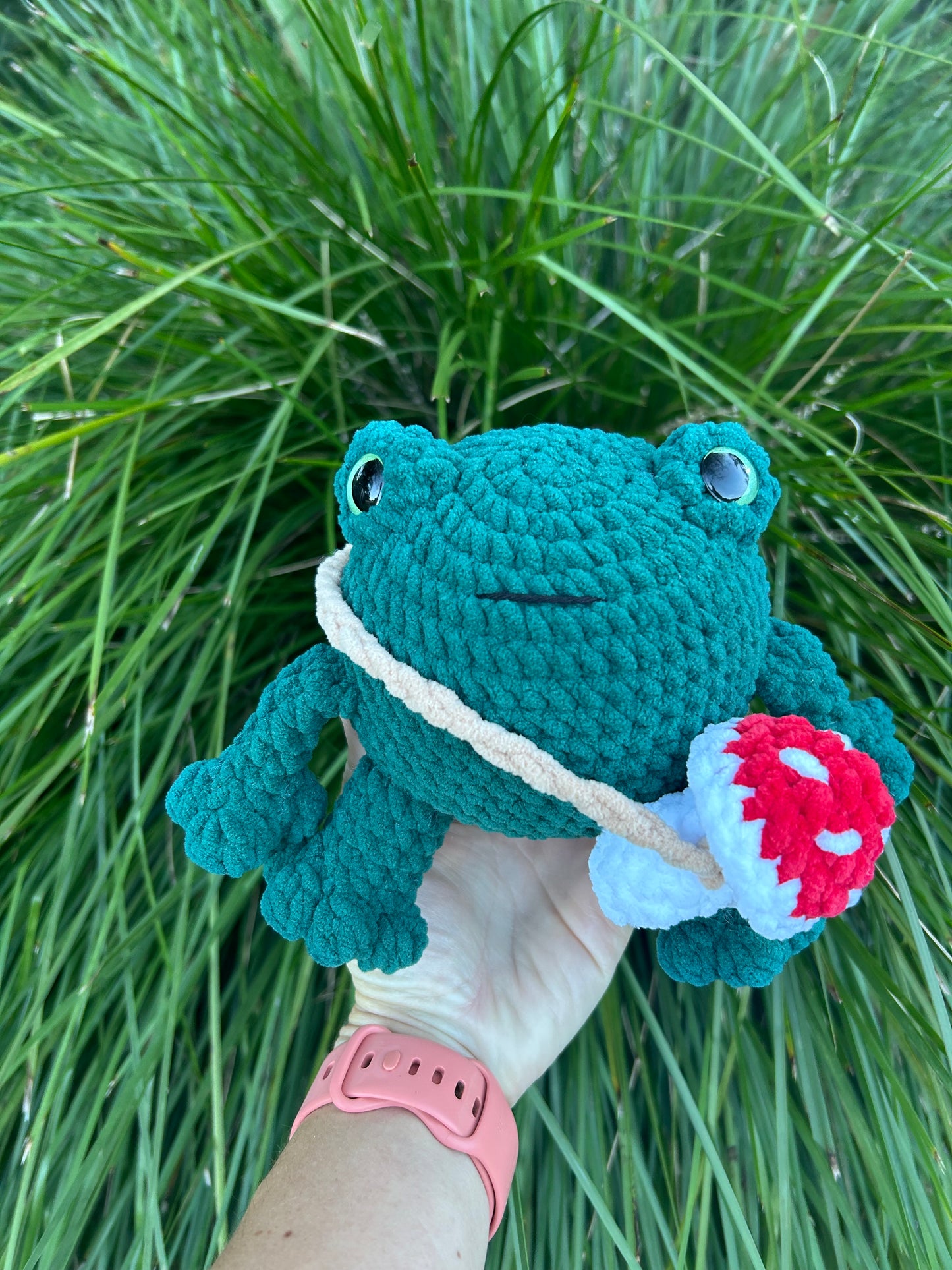 Frogdrick the frog