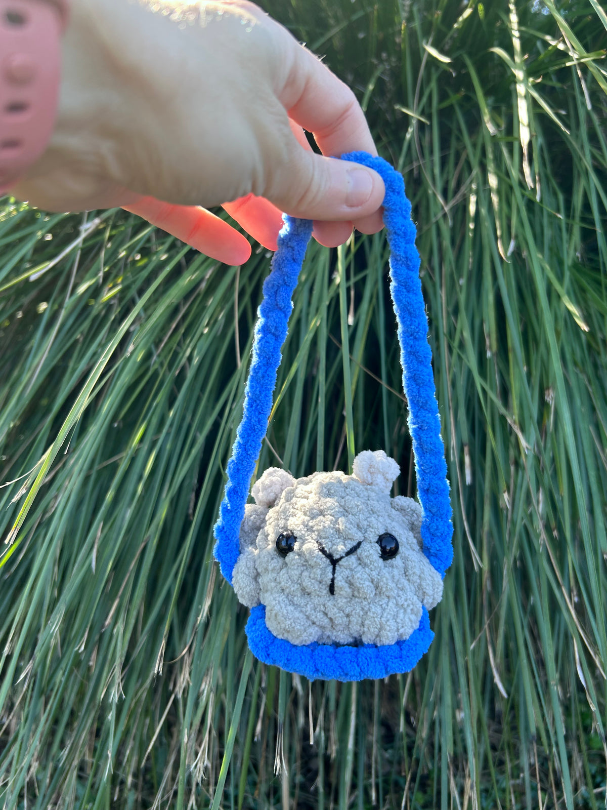 Swinging Animals