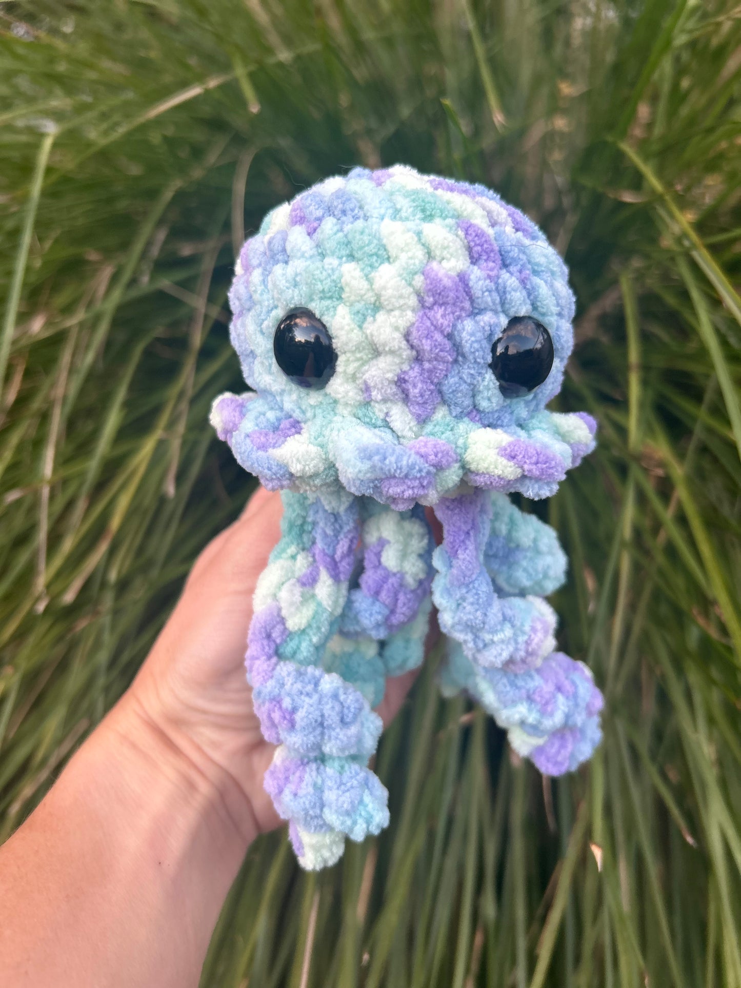Jellyfish