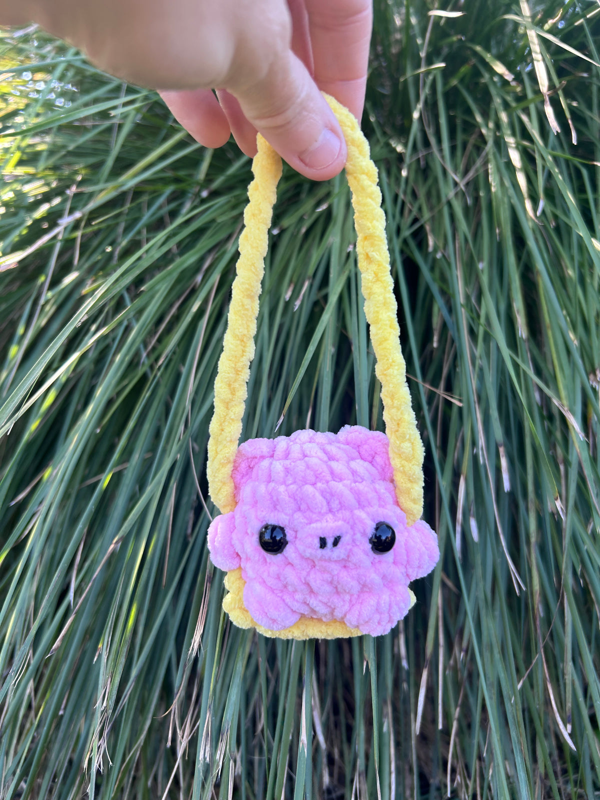 Swinging Animals