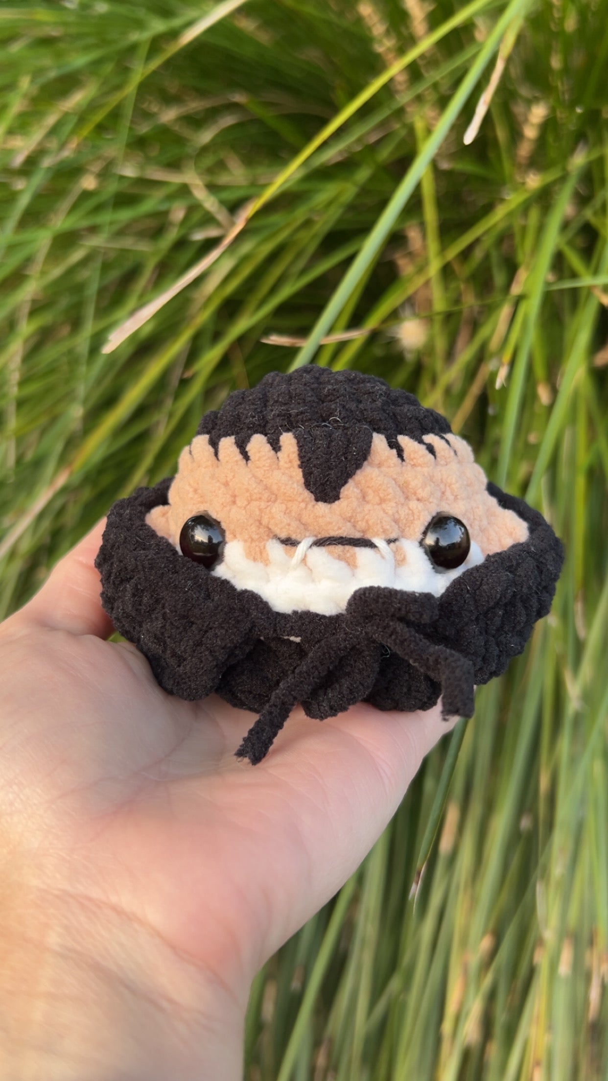 Halloween Chonky plushies