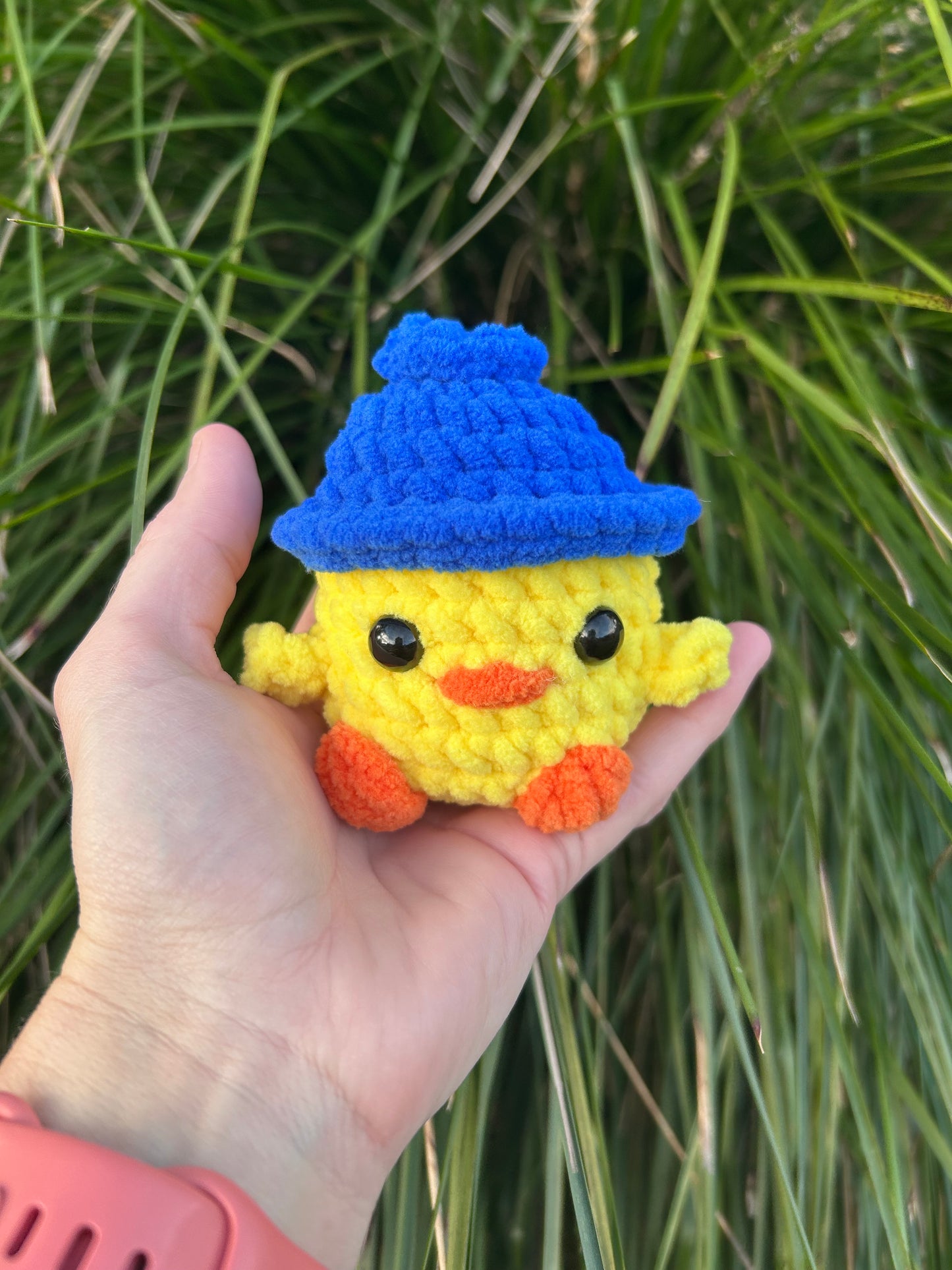 Fruit Chicks