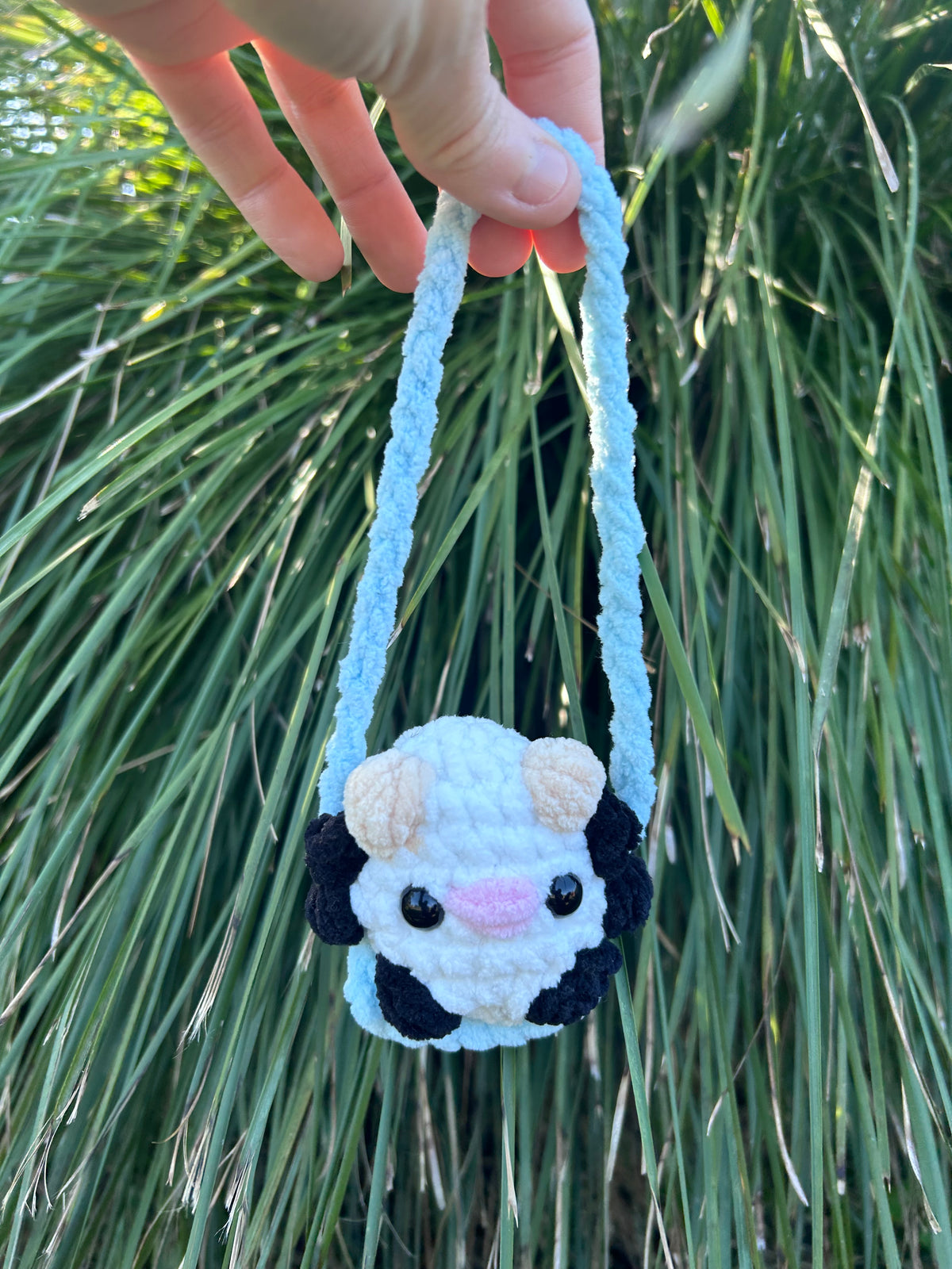 Swinging Animals