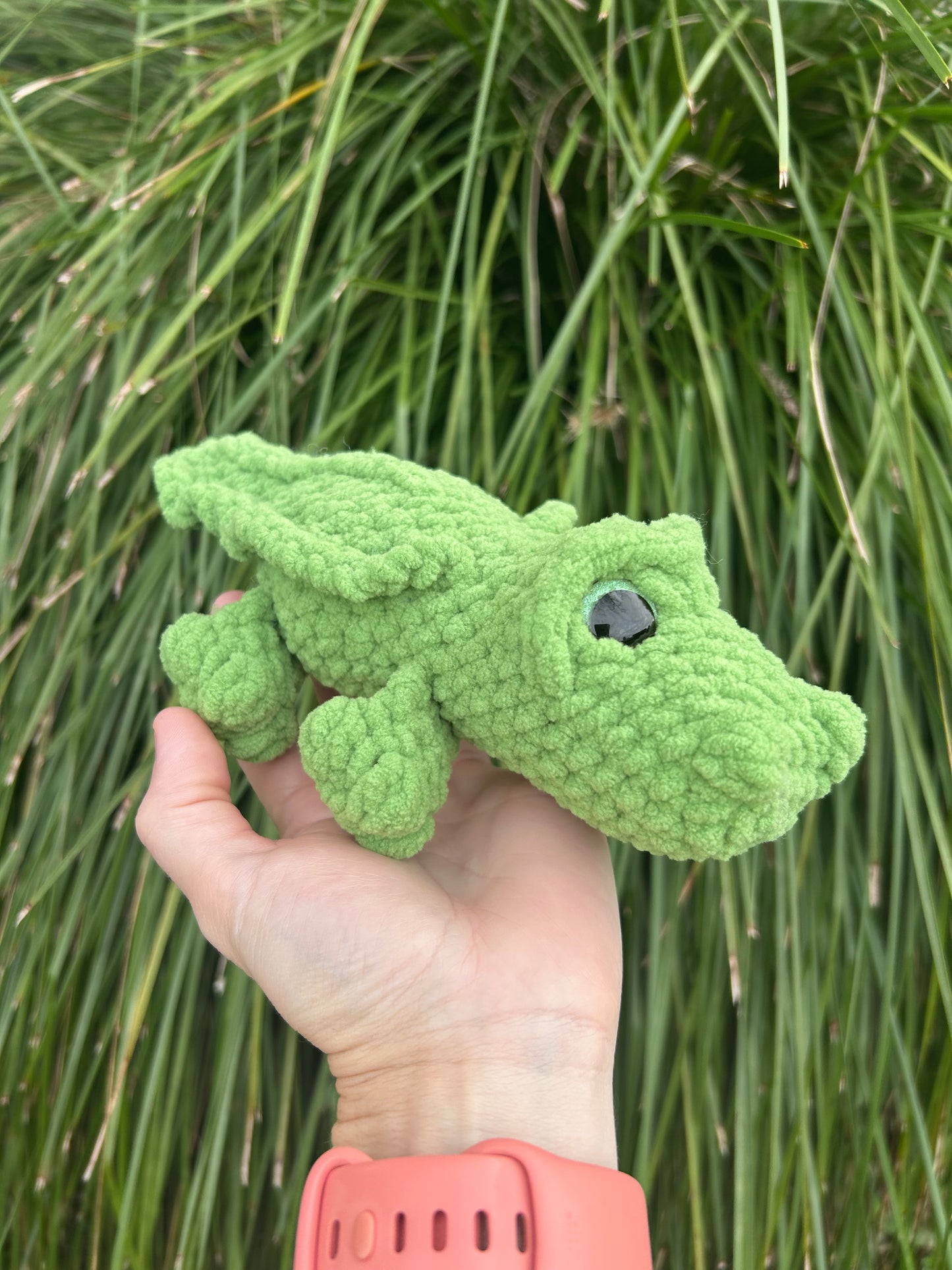 Crocodile