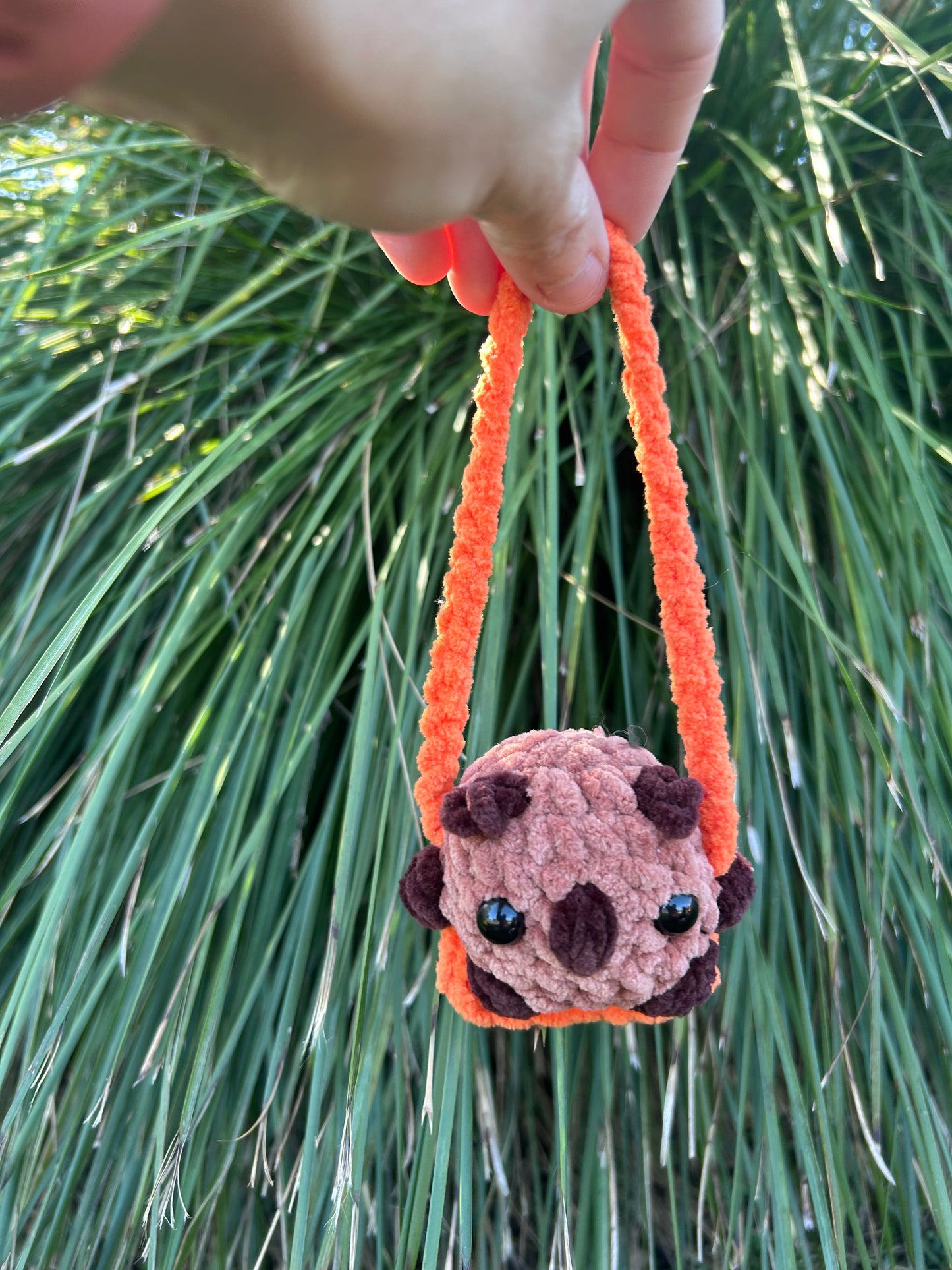 Swinging Animals