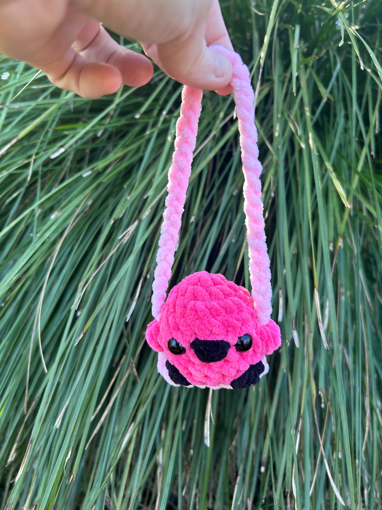 Swinging Animals