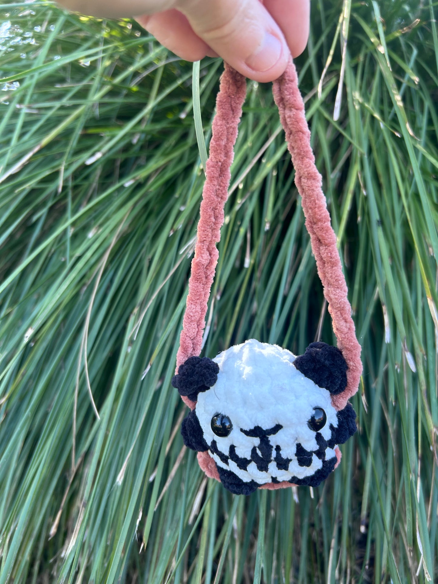 Swinging Animals