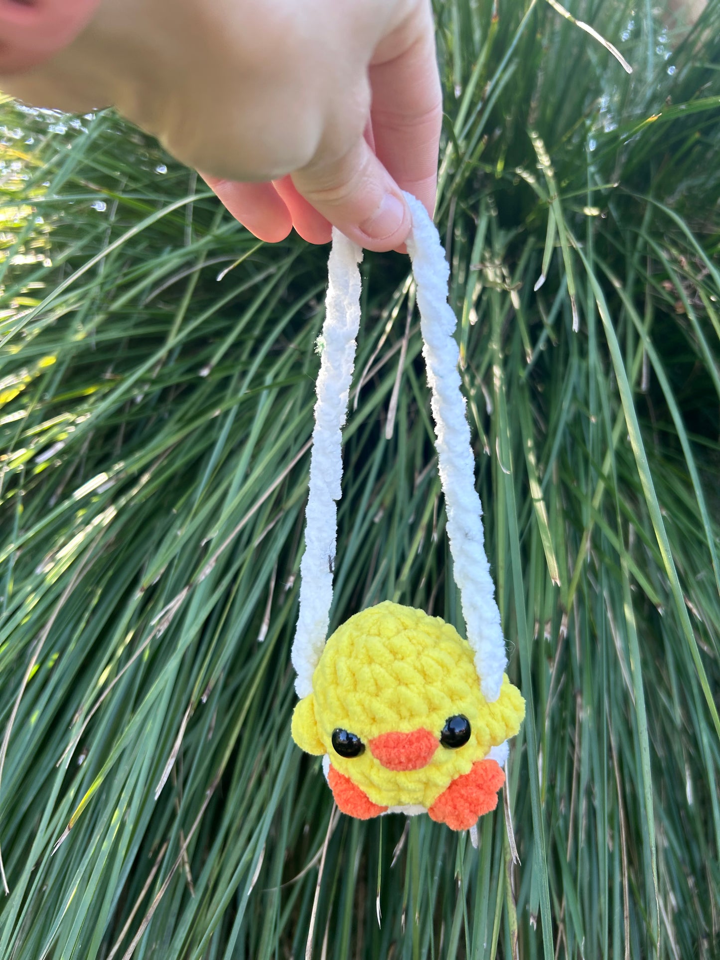 Swinging Animals