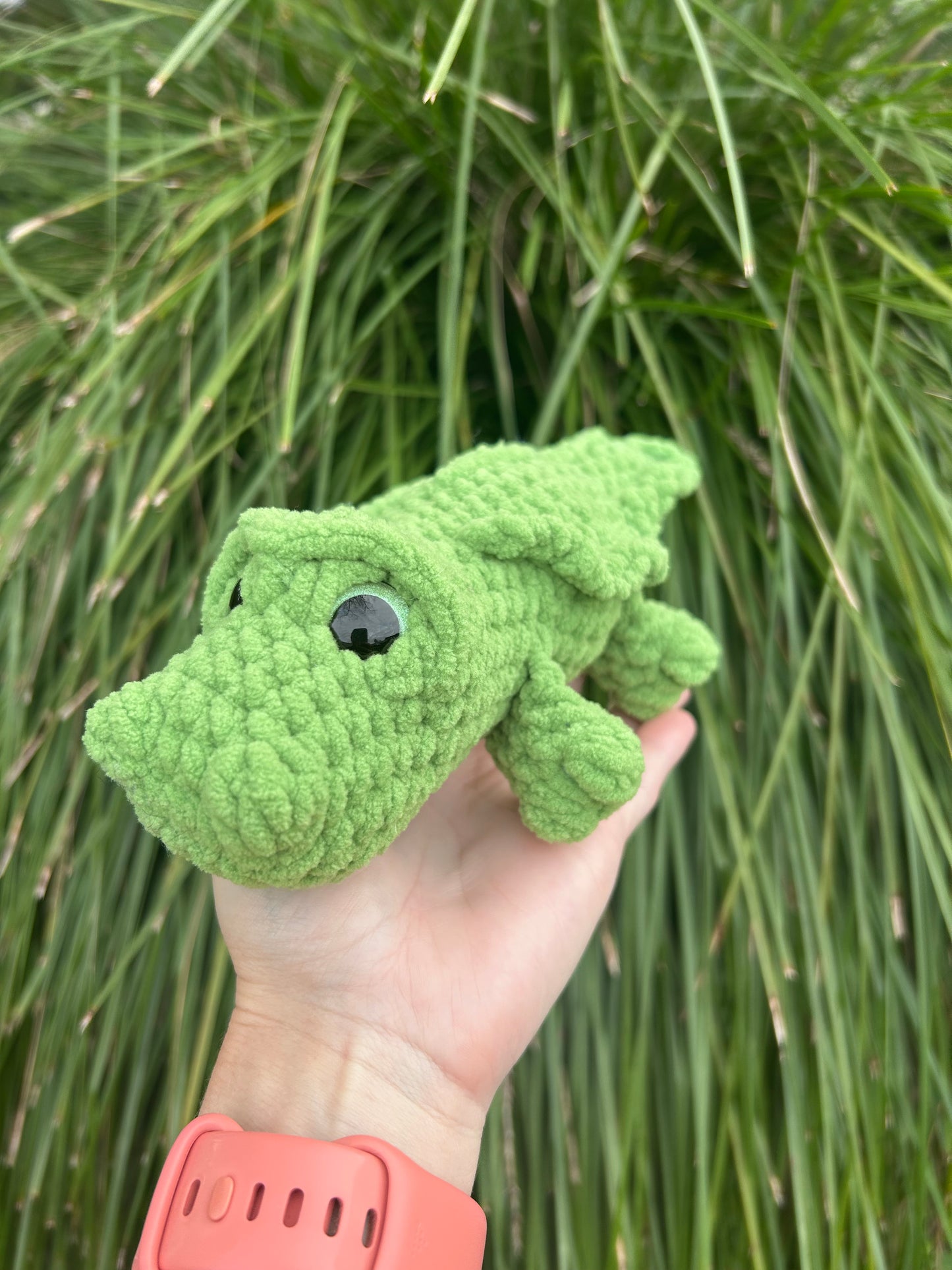 Crocodile